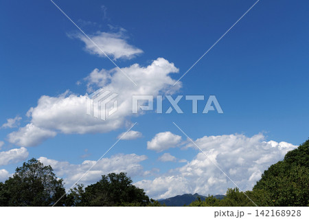 夏の空 夏の空 142168928