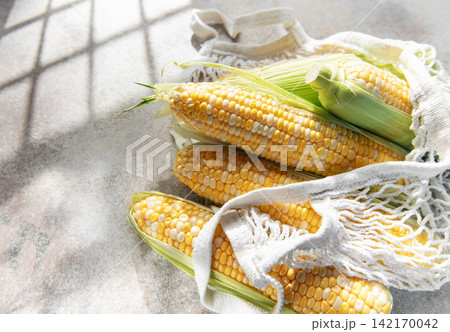 Fresh corn on the cob in eco friendly bag 142170042