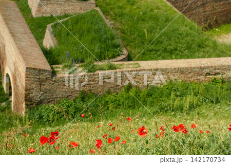 A serene and picturesque rural landscape with an ancient brick wall as the backdrop 142170734