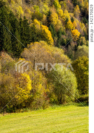 Mountain landscape in the autumn season. View from Hirt, in the Gurktal Valley, Carinthia, Austria Mountain landscape in the autumn season. View from Hirt, in the Gurktal Valley, Carinthia, Austria 142170829