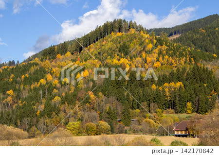 Mountain landscape in the autumn season. View from Hirt, in the Gurktal Valley, Carinthia, Austria Mountain landscape in the autumn season. View from Hirt, in the Gurktal Valley, Carinthia, Austria 142170842