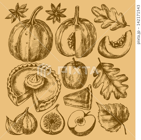 retro Thanksgiving set of pumpkins, autumn leaves, and a pie. Sketch vector illustration. retro Thanksgiving set of pumpkins, autumn leaves, and a pie. Sketch vector illustration. 142171543