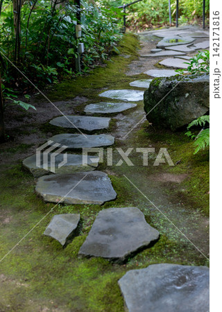 苔むした日本庭園に続く飛石の小道 静寂を感じる和風空間のイメージ 苔むした日本庭園に続く飛石の小道 静寂を感じる和風空間のイメージ 142171816