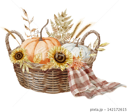 Autumn basket watercolor illustration with pumpkins, sunflowers, wheat, fern and checkered fabric isolated on background. Harvest clipart for Thanksgiving invitations and farmhouse designs. Autumn basket watercolor illustration with pumpkins, sunflowers, wheat, fern and checkered fabric isolated on background. Harvest clipart for Thanksgiving invitations and farmhouse designs. 142172615