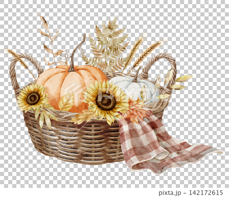 Autumn basket watercolor illustration with pumpkins, sunflowers, wheat, fern and checkered fabric isolated on background. Harvest clipart for Thanksgiving invitations and farmhouse designs. Autumn basket watercolor illustration with pumpkins, sunflowers, wheat, fern and checkered fabric isolated on background. Harvest clipart for Thanksgiving invitations and farmhouse designs. 142172615