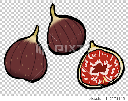 Fig illustration (brushstroke style/fruit) Fig illustration (brushstroke style/fruit) 142173146
