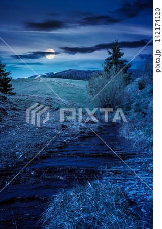 rural scenery in carpathian mountains at night. simple view of a countryside mountain landscape during springtime. full moon over brook near the grassy hills. mysterious fantasy concept rural scenery in carpathian mountains at night. simple view of a countryside mountain landscape during springtime. full moon over brook near the grassy hills. mysterious fantasy concept 142174120