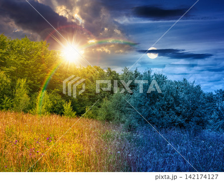 deciduous beech forest near meadow under dramatic sky. nature scenery with tall grass near forest at twilight. carpathian beech forest of ukraine. wild field with grass and herbs. summer solstice 142174127