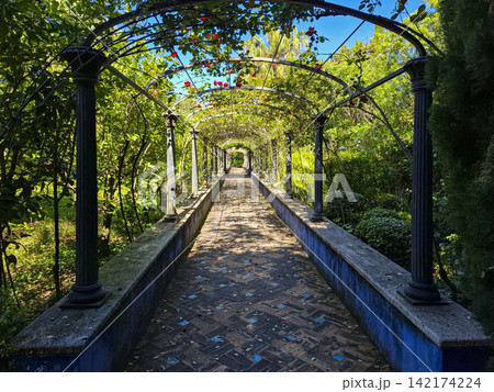 Garden alley under a metal rose arch pergola with stone pillars and a patterned tiled pathway Garden alley under a metal rose arch pergola with stone pillars and a patterned tiled pathway 142174224