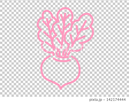 Hand-drawn turnip vegetable illustration, pink Hand-drawn turnip vegetable illustration, pink 142174444