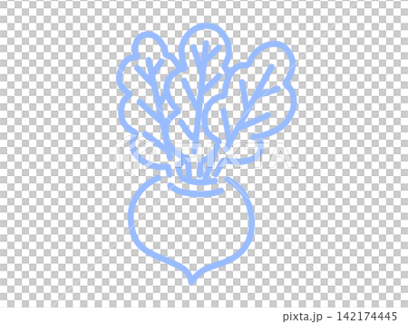 Hand-drawn turnip vegetable illustration, light blue 142174445