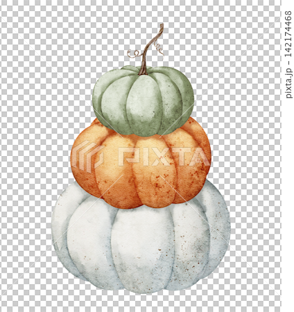 Pumpkin stack watercolor illustration with green, orange and white autumn gourds isolated on background. Harvest clipart for Thanksgiving invitations, farmhouse, fall greeting card and seasonal design Pumpkin stack watercolor illustration with green, orange and white autumn gourds isolated on background. Harvest clipart for Thanksgiving invitations, farmhouse, fall greeting card and seasonal design 142174468