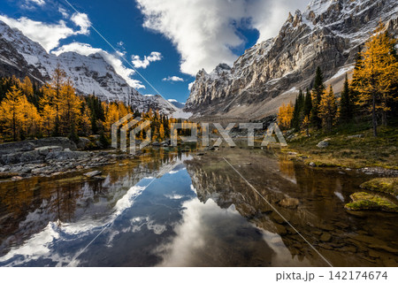 Mountain Lake Reflection with Autumn Forest and Snowy Alpine Peaks Mountain Lake Reflection with Autumn Forest and Snowy Alpine Peaks 142174674