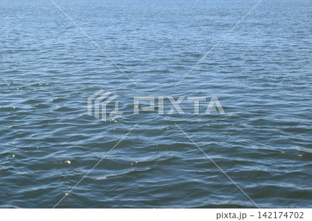 海辺のさざ波 海辺のさざ波 142174702