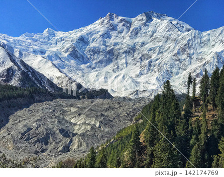 Snowy Mountain Glacier Landscape with Pine Forest and Blue Sky Snowy Mountain Glacier Landscape with Pine Forest and Blue Sky 142174769
