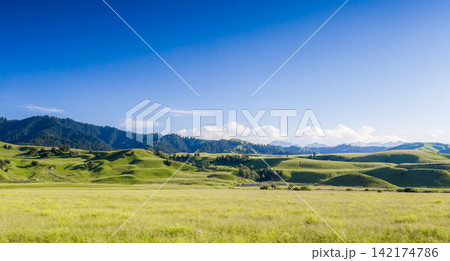 Green Rolling Hills and Mountain Meadow Under Blue Sky Green Rolling Hills and Mountain Meadow Under Blue Sky 142174786