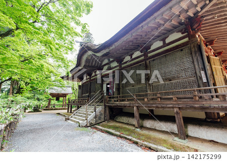 【滋賀県東近江市】百済寺 鐘楼と本堂と新緑 【滋賀県東近江市】百済寺 鐘楼と本堂と新緑 142175299