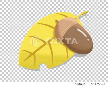 Acorns and leaves that evoke the image of autumn. Acorns and leaves that evoke the image of autumn. 142175323