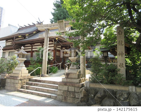 白龍神社の鳥居と社号標!愛知県名古屋市 白龍神社の鳥居と社号標!愛知県名古屋市 142175615