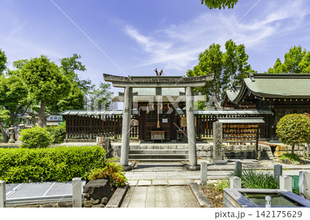 大阪　生玉町　生國魂神社　城方向八幡宮　大阪府大阪市 142175629