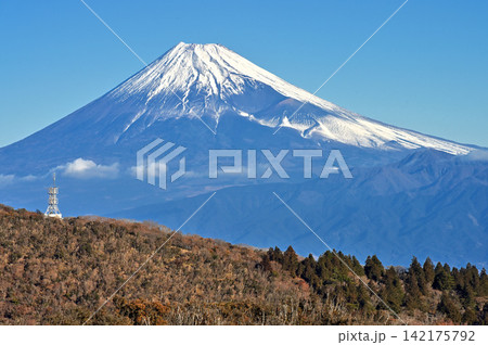 伊豆半島 伊豆山稜線歩道 小達磨山から望む雪景色の富士山と愛鷹山 伊豆半島 伊豆山稜線歩道 小達磨山から望む雪景色の富士山と愛鷹山 142175792