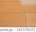 フローリングの傷 142176221