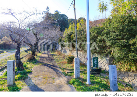 福岡県鞍手町古門にある古物神社参道と鳥居 福岡県鞍手町古門にある古物神社参道と鳥居 142176253