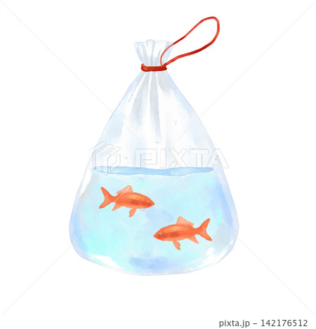 ポリ袋に入っている金魚 ポリ袋に入っている金魚 142176512