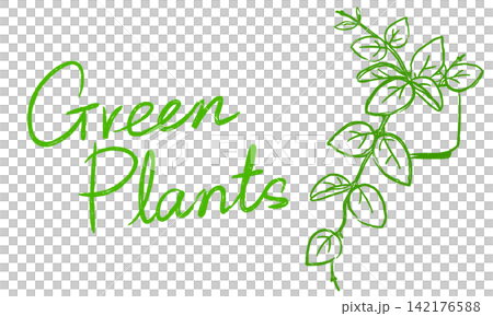 おしゃれな植物の手書き装飾イラスト 142176588