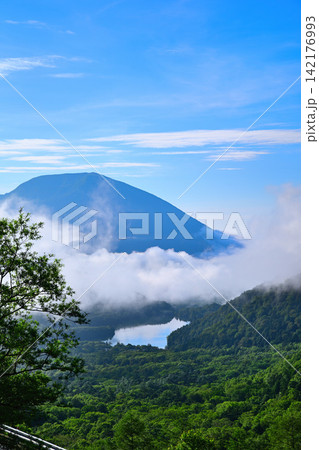 金精峠からの眺め 男体山 湯ノ湖 雲海 金精峠からの眺め 男体山 湯ノ湖 雲海 142176993