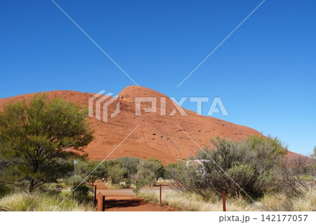 カタジュタの風景 オーストラリア カタジュタの風景 オーストラリア 142177057