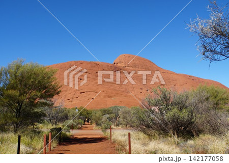 カタジュタの風景 オーストラリア カタジュタの風景 オーストラリア 142177058