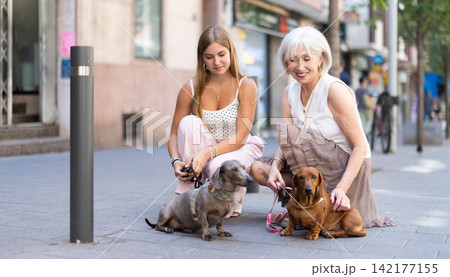 Elderly woman introduces her dog to the dog of a teenage girl on the street 142177155