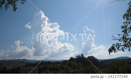 夏の空に湧き上がる入道雲 142177240