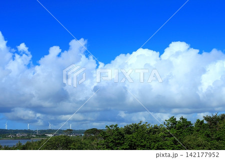 青空に大きな白い雲が広がる夏の風景 青空に大きな白い雲が広がる夏の風景 142177952