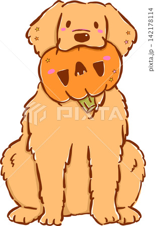 Cute Autumn Halloween Dog Golden Retriever Cartoon Hand Drawn Illustration, Puppy with Pumpkin in Mouth Cute Autumn Halloween Dog Golden Retriever Cartoon Hand Drawn Illustration, Puppy with Pumpkin in Mouth 142178114