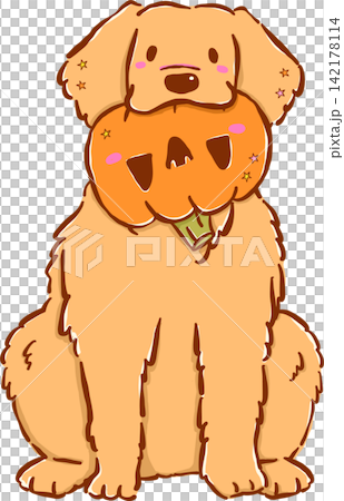 Cute Autumn Halloween Dog Golden Retriever Cartoon Hand Drawn Illustration, Puppy with Pumpkin in Mouth Cute Autumn Halloween Dog Golden Retriever Cartoon Hand Drawn Illustration, Puppy with Pumpkin in Mouth 142178114