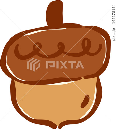 Cute Autumn acorn Wallnut Hand Drawn Illustration 142178134
