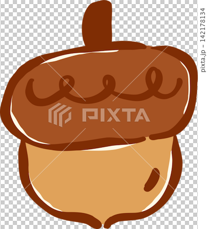 Cute Autumn acorn Wallnut Hand Drawn Illustration 142178134
