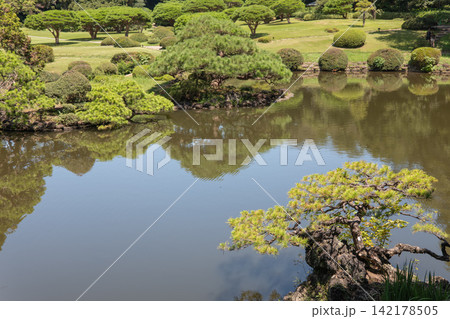 池がある日本庭園の風景、美しい緑の木々と夏の青空 池がある日本庭園の風景、美しい緑の木々と夏の青空 142178505
