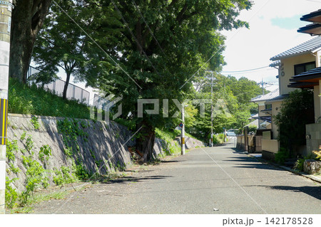 石垣と木々のある京都の住宅街の道 142178528