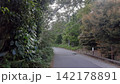 伊豆高原の緑に囲まれた静かな道路 142178891