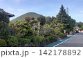 伊豆高原から望む新緑の大室山と街並み 142178892