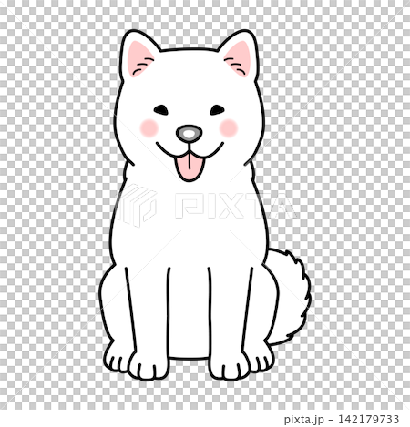 Vector illustration of a Hokkaido dog (full body, front view, sitting). Vector illustration of a Hokkaido dog (full body, front view, sitting). 142179733