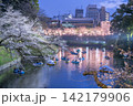 夜桜ライトアップと千鳥ヶ淵のお濠に浮かぶボートの幻想的な風景 142179906