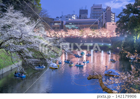 夜桜ライトアップと千鳥ヶ淵のお濠に浮かぶボートの幻想的な風景 夜桜ライトアップと千鳥ヶ淵のお濠に浮かぶボートの幻想的な風景 142179906
