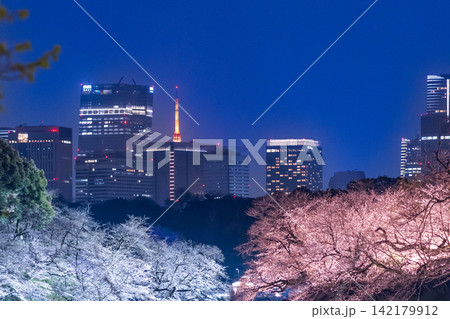 夜桜ライトアップと千鳥ヶ淵のお濠に浮かぶボートの幻想的な風景 夜桜ライトアップと千鳥ヶ淵のお濠に浮かぶボートの幻想的な風景 142179912
