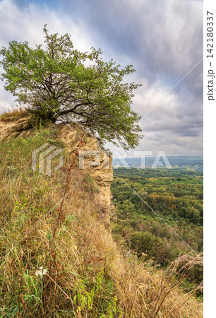 Majestic rocky cliffs and towering trees against blue sky. View of the rocks in Kislovodsk, Russia. Majestic rocky cliffs and towering trees against blue sky. View of the rocks in Kislovodsk, Russia. 142180337