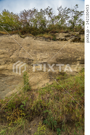 Hillside cross section reveals layered soil and rock beneath dense greenery. Exposed roots and erosion patterns highlight nature slow sculpting over time 142180453