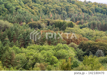 Summer Mountains Landscape with Green forest. Summer Mountains Landscape with Green forest. 142180470